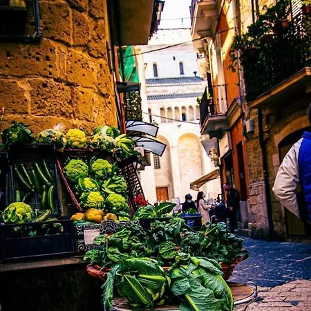 Apartment Casetta Sveva *